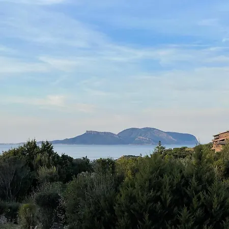 Capo Ceraso Family - 305