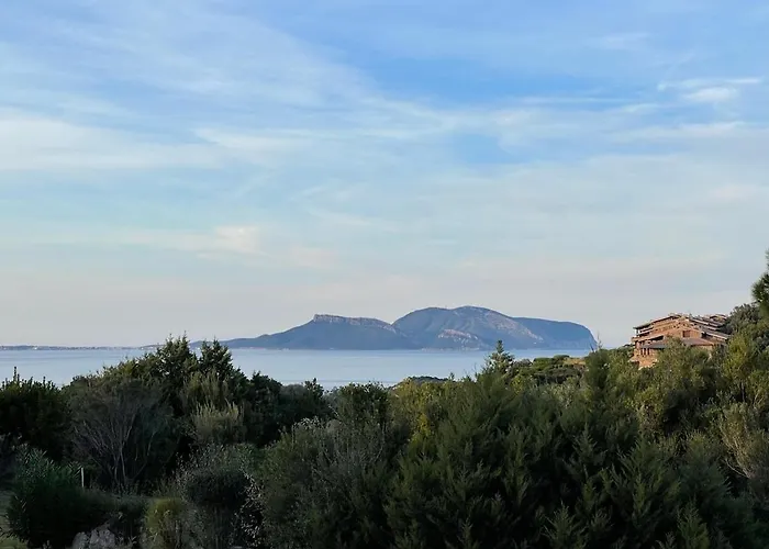Capo Ceraso Family - 305